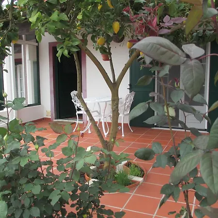 Holiday home Casa Do Limoeiro Obidos