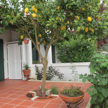 Holiday home Casa Do Limoeiro *